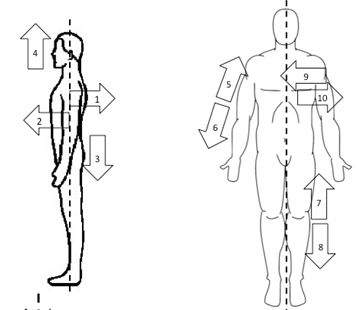 <p>Lateral</p>