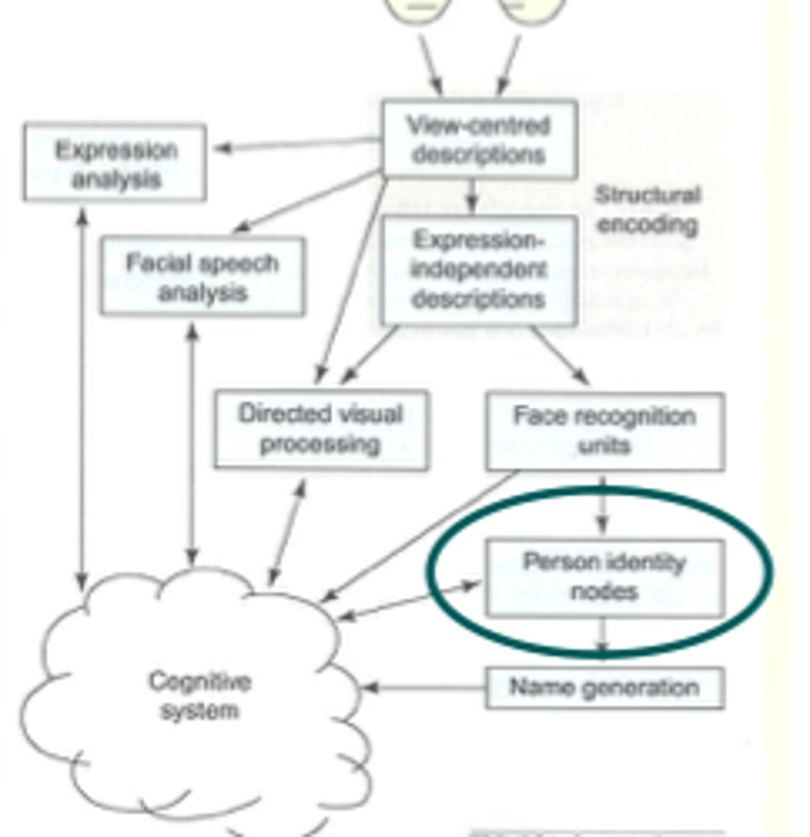 <p>could distinguish between non/faces.</p><p>could rate the familiarity of faces</p><p>could match photos from diff viewpoints</p><p>couldnt recall semantic info from face</p><p>can perceive but not recognise face</p>