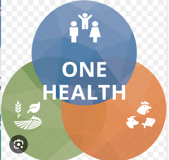 <p>il principio One Health afferma che la salute umana, animale e ambientale sono interconnesse</p>