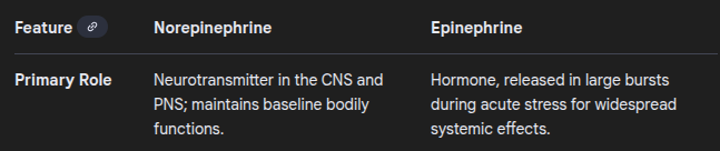 <p>Norepinephrine and epinephrine are generally excitatory neurotransmitters involved in the fight-or-flight response. Norepinephrine-using neurons project from the locus coeruleus, and both neurotransmitters are chiefly synthesised by sympathetic ganglion cells near the spinal cord or abdomen, with epinephrine present at lower levels.</p><p></p><p>Origins</p><ul><li><p><span><strong><span>Norepinephrine</span></strong><span> is primarily produced by sympathetic neurons throughout the body, where it acts as the main neurotransmitter of the sympathetic nervous system. It is also synthesized in the adrenal medulla, but most of the norepinephrine in the bloodstream comes from nerve endings.</span></span></p></li><li><p><span><strong><span>Epinephrine</span></strong><span> is produced mainly in the chromaffin cells of the </span><strong><span>adrenal medulla</span></strong><span> (the inner part of the adrenal glands located on top of the kidneys), where it is converted from norepinephrine by a specific enzyme. It is released into the bloodstream primarily as a hormone.&nbsp;</span></span></p></li></ul><p></p><p></p><p></p>