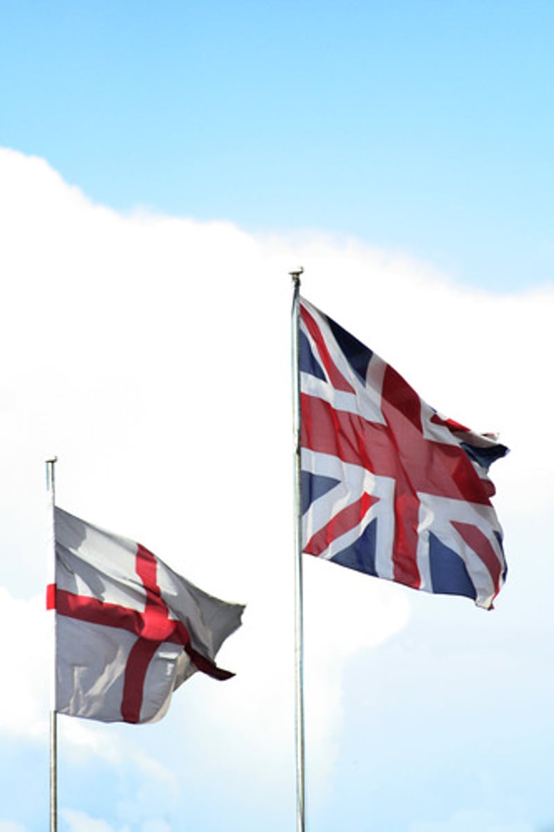 <p>Loyalty and devotion to a particular nationality</p>