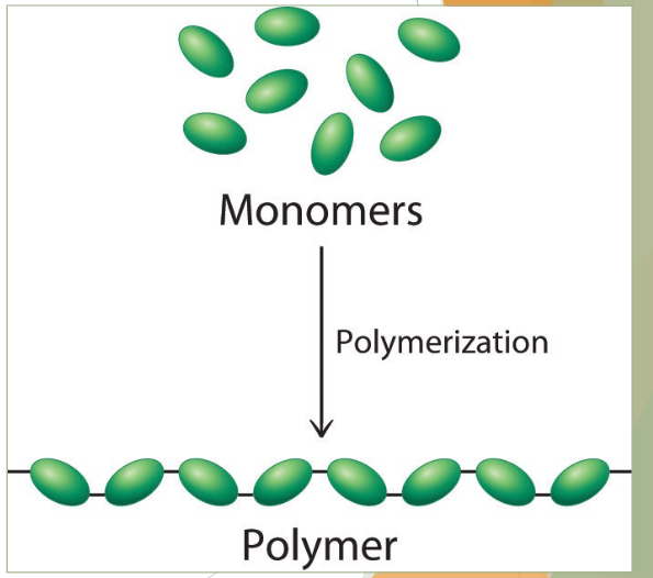 <p>what is a polymer</p>