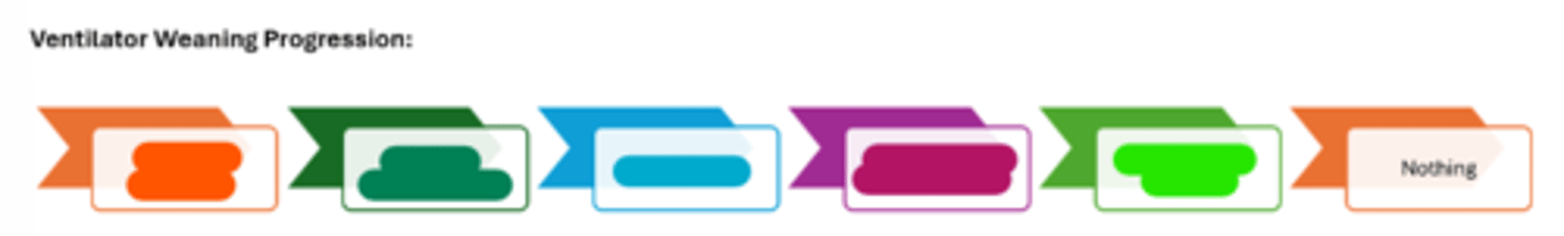 <p>Teal in image.</p>