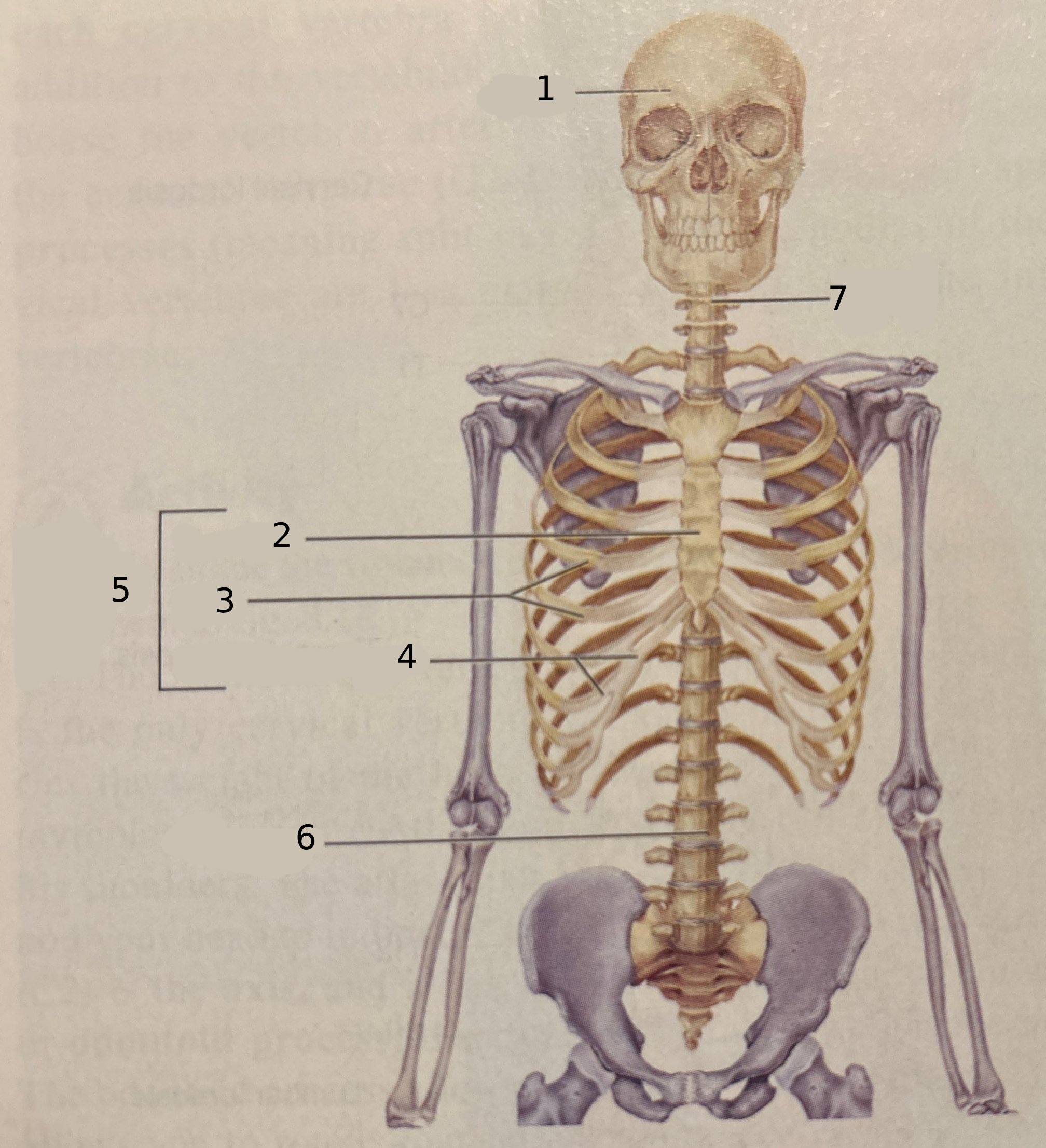 <p>#3</p>