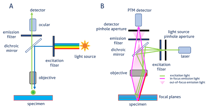 <ul><li><p>whole smaple illuminated</p></li><li><p>out-of-focus light doesn’t form an image</p><ul><li><p>but still reaches detector</p></li></ul></li></ul><p></p>