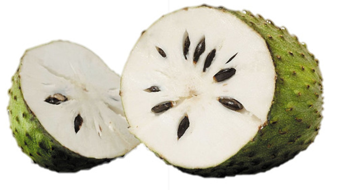 <p>Soursop</p>