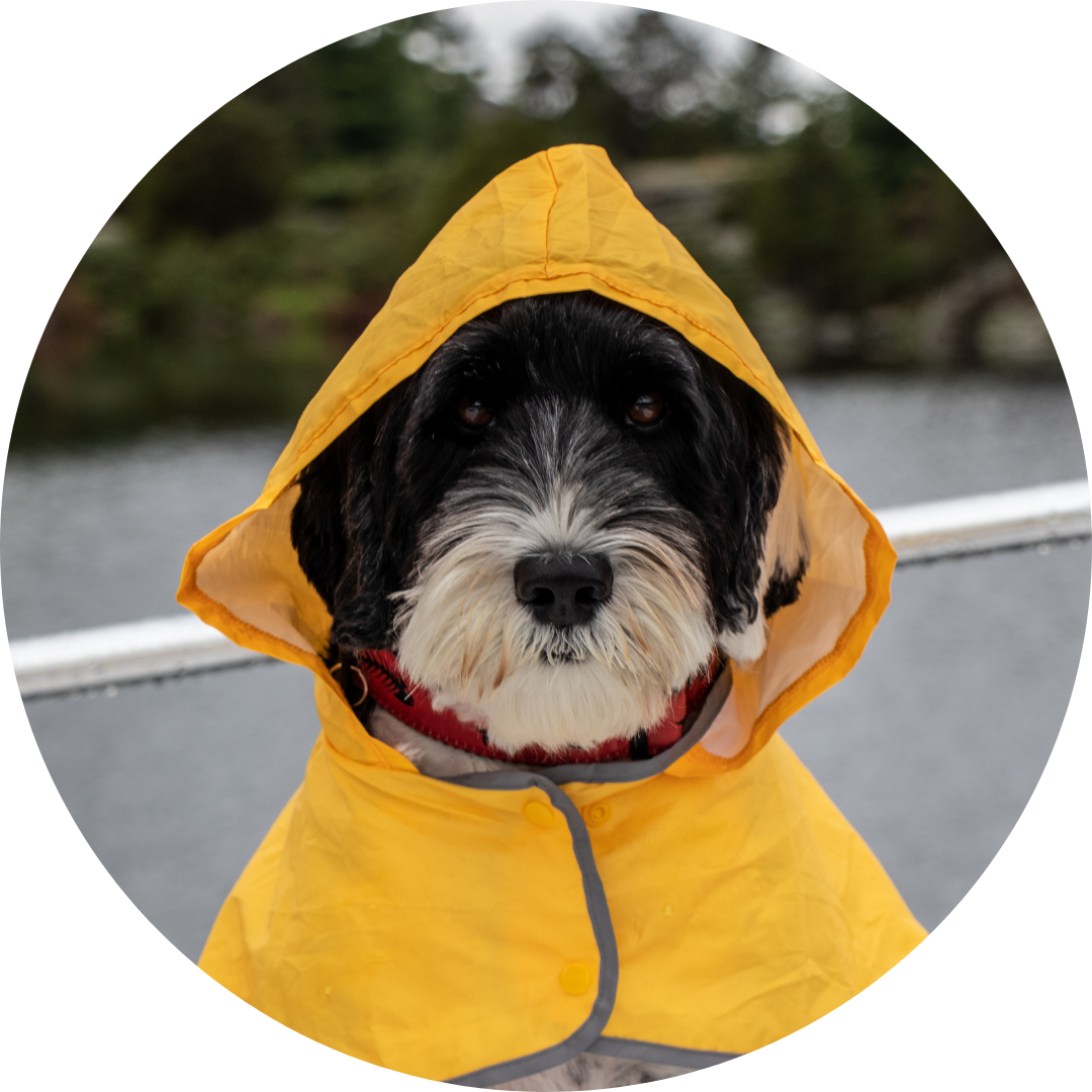 <p><span><strong>to put on a coat that keeps you dry when it rains</strong></span></p><p><span>It was a rainy day, so I put on my raincoat before heading out.</span></p>