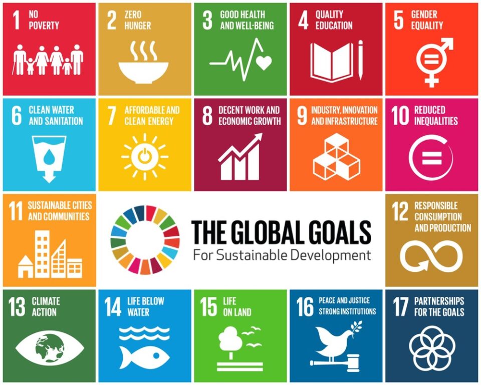 <p>sustainable development goals</p>
