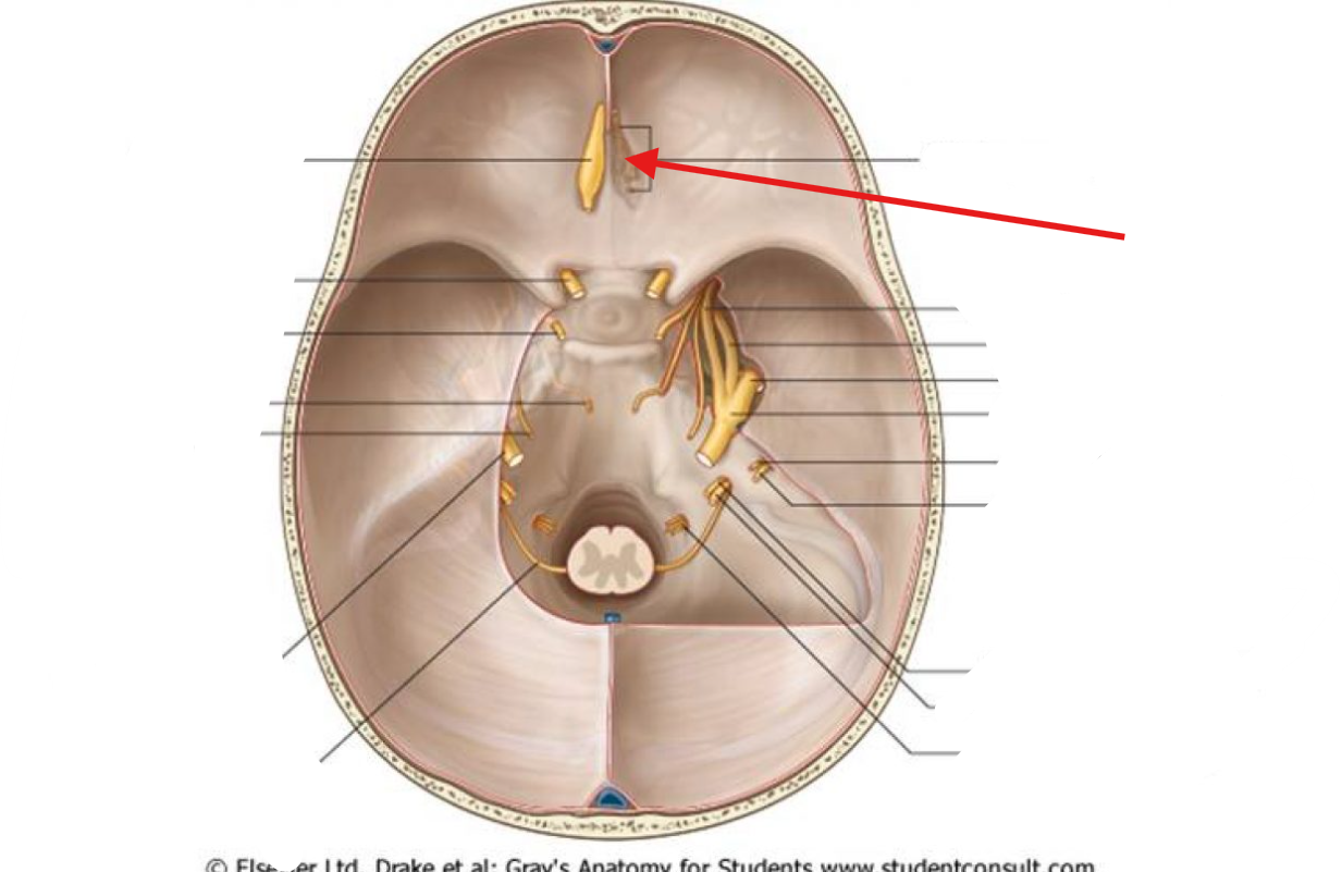 <p>What is this structure?</p>