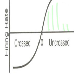 <p>What kind of disparity cell?</p>