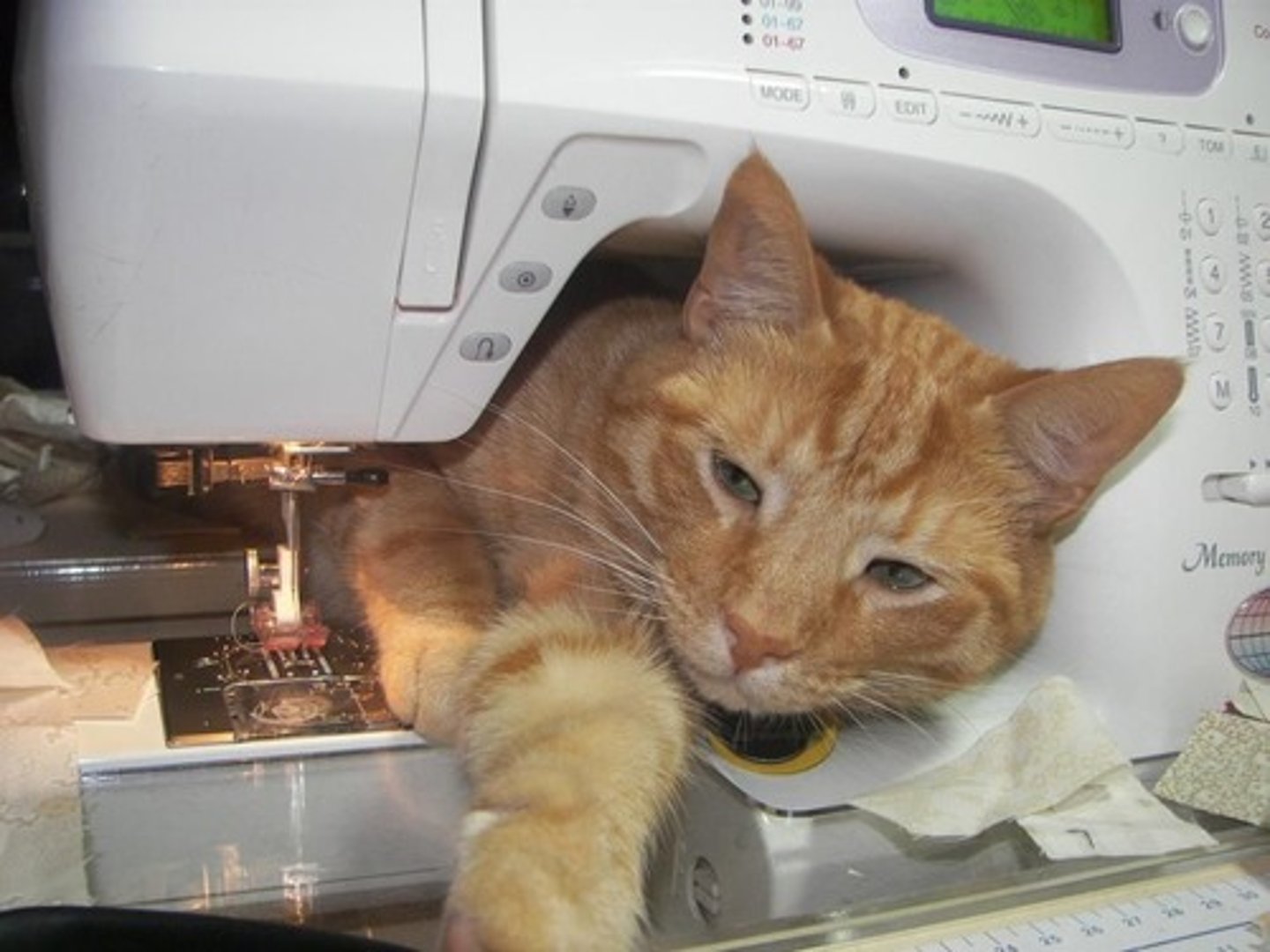 <p>to involve yourself in a situation when your involvement is not wanted or is not helpful</p>