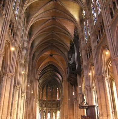 term image