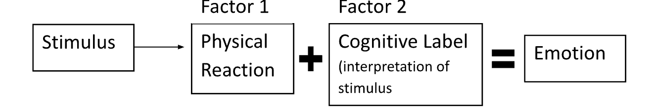 <p>Theory stating that emotion is based on physiological arousal and cognitive labeling</p><p></p>