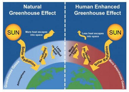 <p>GHGs are molecules that absorb and emit radiation at wavelengths that overlap with some of the wavelengths of radiation emitted by Earth</p>
