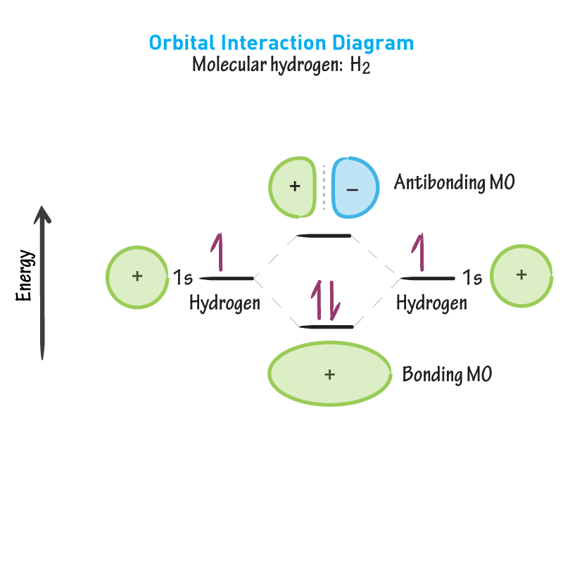 <p>What is the thermodynamic outcome of electrons falling to a lower level in molecular orbitals, thus releasing energy when molecules form?</p>