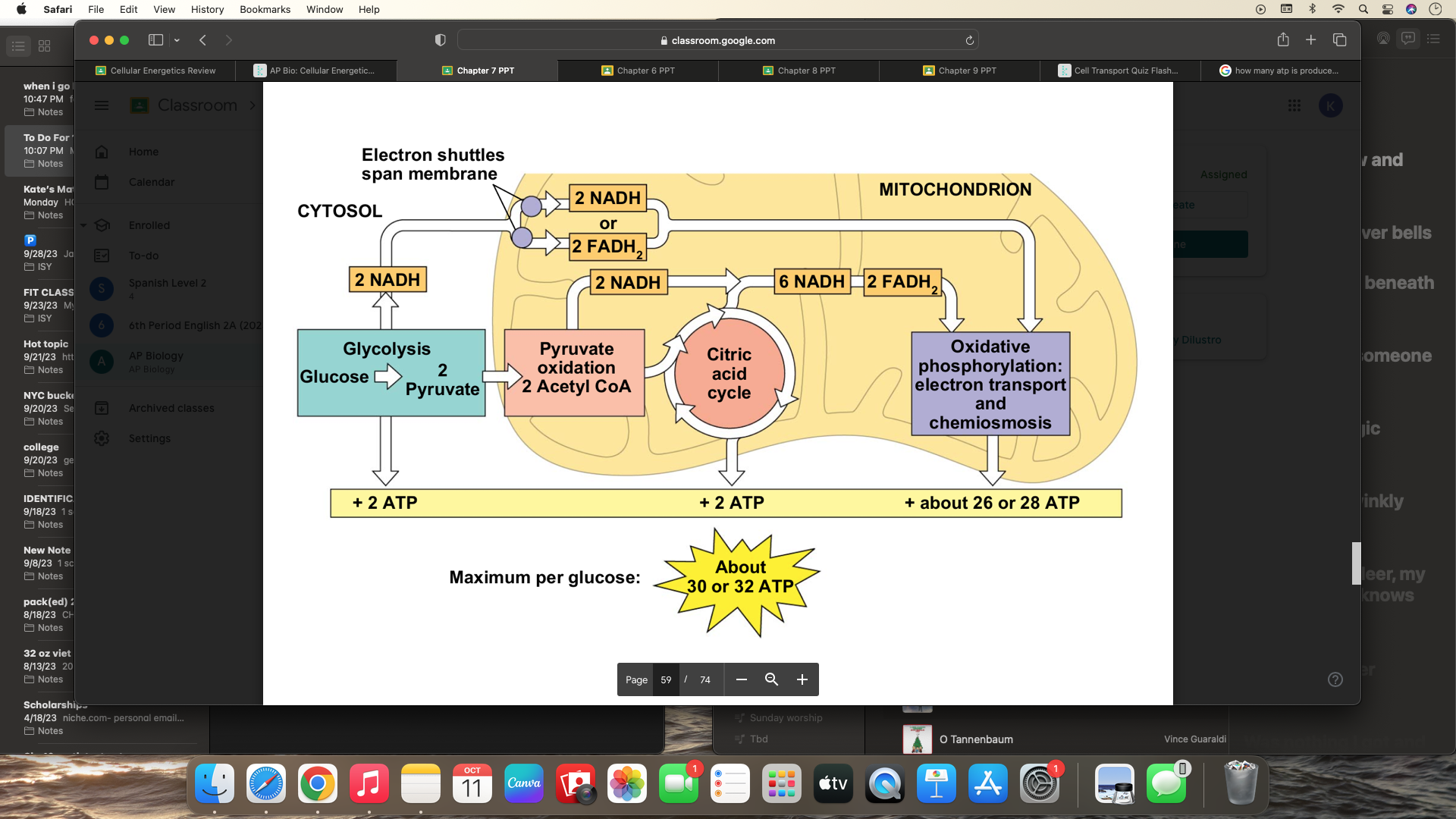 knowt flashcard image