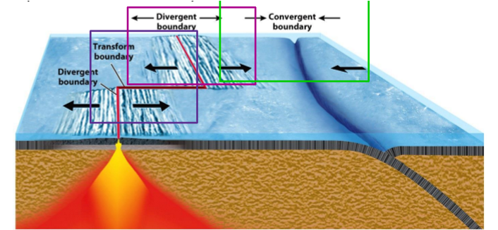 <ul><li><p><strong>where 2 plates meet</strong></p></li><li><p>types</p><ul><li><p>divergent</p></li><li><p>convergent</p></li><li><p>transform</p></li></ul></li></ul><p></p>