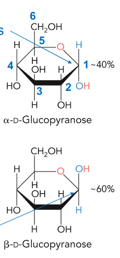 <p>depending of the side that hydroxyl attack comes from, makes two different rings</p>
