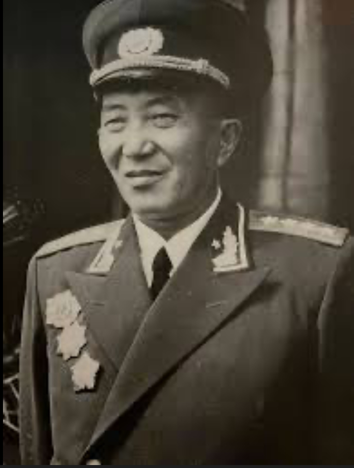 <p>Who was Luo Ruiquing? What was he responsible for?</p>