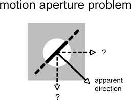 <p>Direction of a part of a moving object does not always provide enough information about how whole object is moving&nbsp;</p>