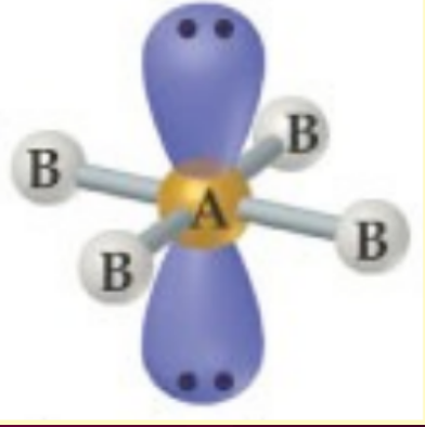 <ul><li><p>AB<sub>4</sub>E<sub>2</sub></p></li><li><p>6 electron domains</p></li><li><p>90 degree bond angles</p></li></ul>