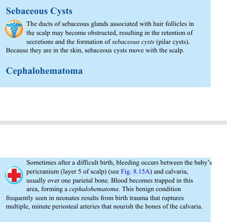 <p>The ducts of sebaceous glands associated with hair follicles in the scalp may become obstructed, resulting in the retention of secretions and the formation of sebaceous cysts (pilar cysts). Because they are in the skin, sebaceous cysts move with the scalp. Cephalohematoma Sometimes after a difficult birth, bleeding occurs between the baby’s pericranium (layer 5 of scalp) (see Fig. 8.15A) and calvaria, usually over one parietal bone. Blood becomes trapped in this area, forming a cephalohematoma. This benign condition frequently seen in neonates results from birth trauma that ruptures multiple, minute periosteal arteries that nourish the bones of the calvaria.</p>