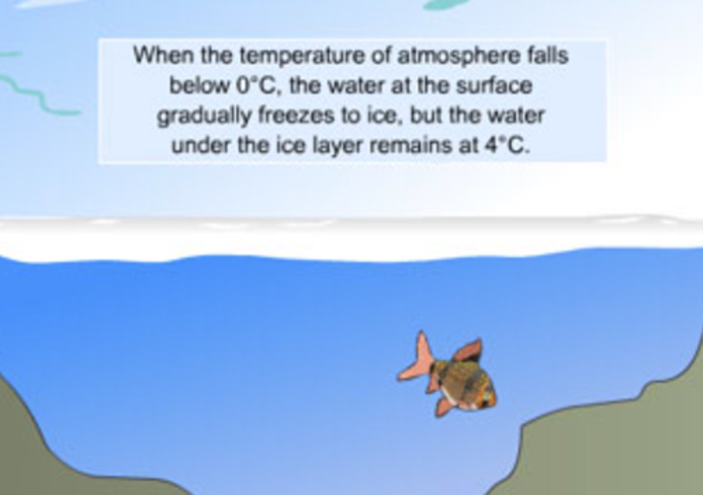 <p>1. Cohesion: water likes water</p><p>2. Adhesion: water likes other polar things, ex. glass.</p><p>3. Surface tension: surface is hard to break, allows bugs/some lizards to walk on water</p><p>4. High specific heat: takes of energy to heat up</p><p>5. expands when frozen: doesn't sink, important for marine life</p><p>Living systems depend on these properties.</p><p>ex: both cohesion and adhesion are needed for water to travel up the stem of a plant.</p>