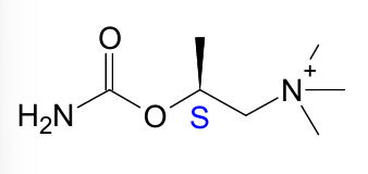 <p>S</p>