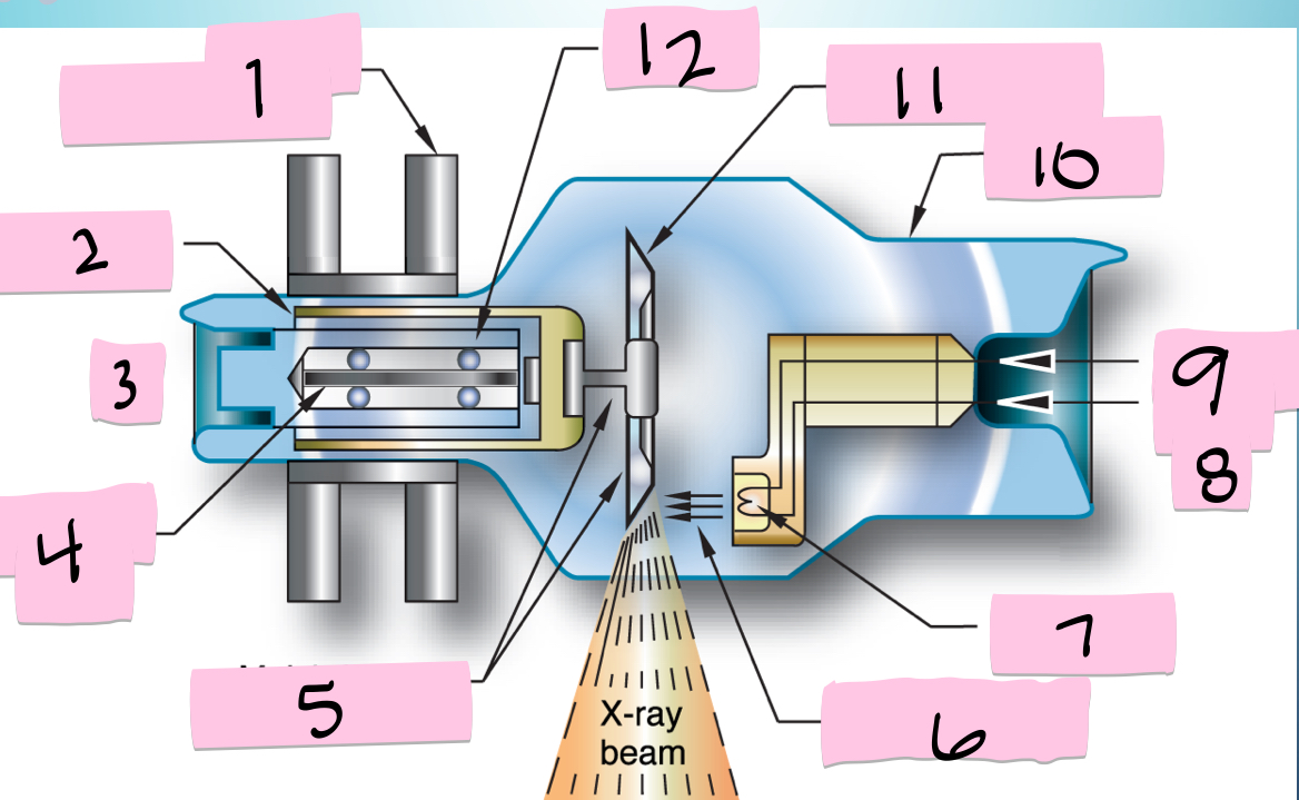 <p>What is 12 pointing to?</p>