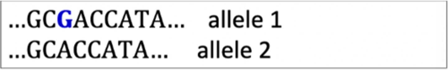 <p>- insertion or deletion of one or multiple nucleotides</p><p>- indels can be considered like SNPs, considering the first inserted or deleted nucleotide</p><p>- usually bi-allelic</p>