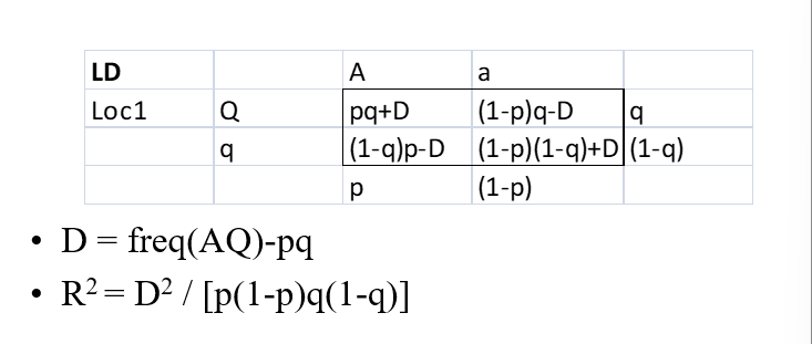 <p>alleles at locus 1 are non-randomly associated with alleles at locus 2</p><p>D is difference between observed haplotypes</p><p>R2 standardized measure</p><p>D=0, are in linkage equilirbium, not 0 in LD</p><p>R2 = 0, no LD, R2 is 1, perfect LD, one ALLELE can predict other </p>