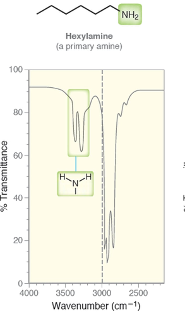 <p>Primary Amine</p>