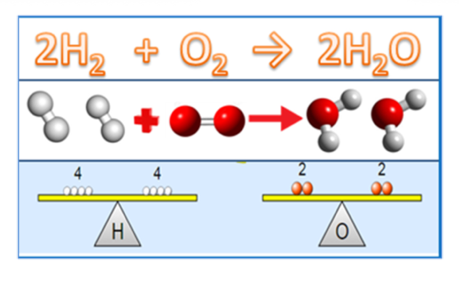 <p>Law of Conservation of Mass</p>