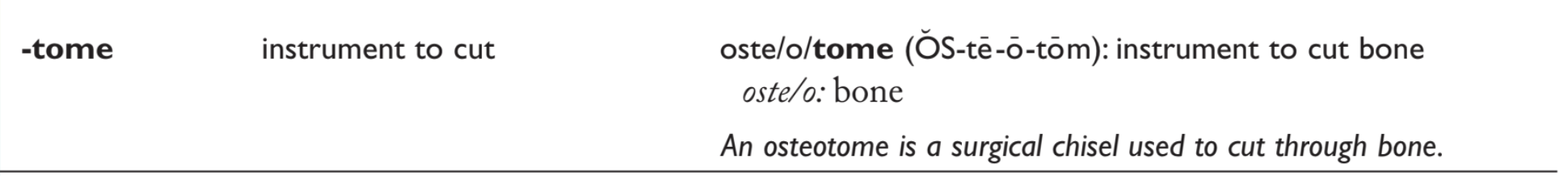 <p>Instrument to cut bone:</p><p>A. Craniotomy<br>B. Arthroscopy<br>C. Osteotome<br>D. Osteotomy</p>