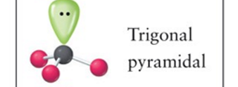 <p>Trigonal pyramidal</p>