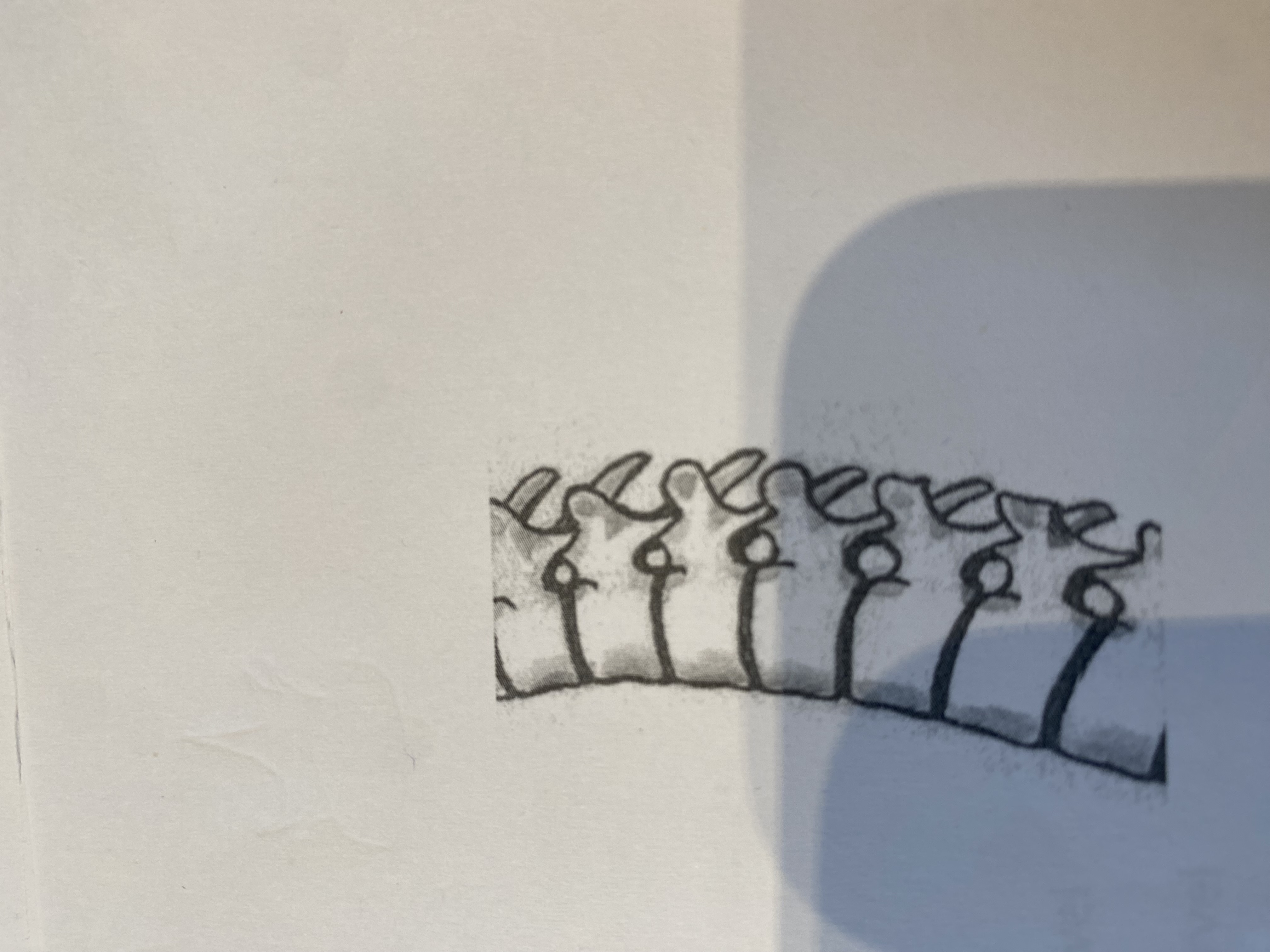 <p>Hoe heten deze gaten</p>