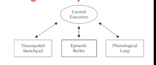 Definition: Most effort devoted to the "slave systems"

Tasks: Dual-task methodology (using fairly simple tasks)
- reasoning + span-task
- interference task (articulatory suppression)

Test of theory: Dissociation through Dual-Task or Neuropsychological evidence

Advantages: Can be applied to analyse the constituent processes of the slave systems

Disadvantages: has made less head-way in teasing apart the complexities of the central executive (partly due to less research on this topic)
