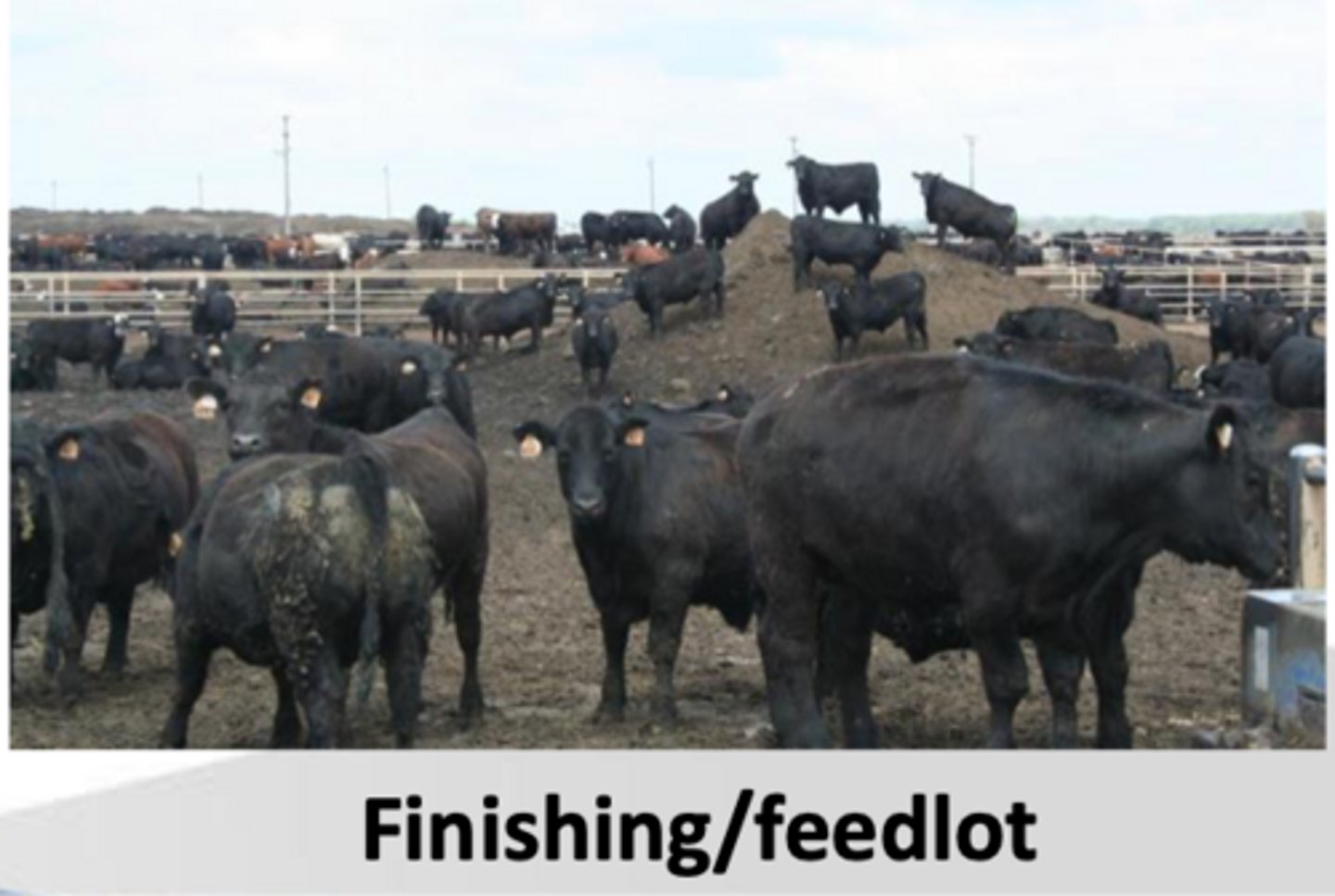 <p>what is the goal of finishing operations</p>