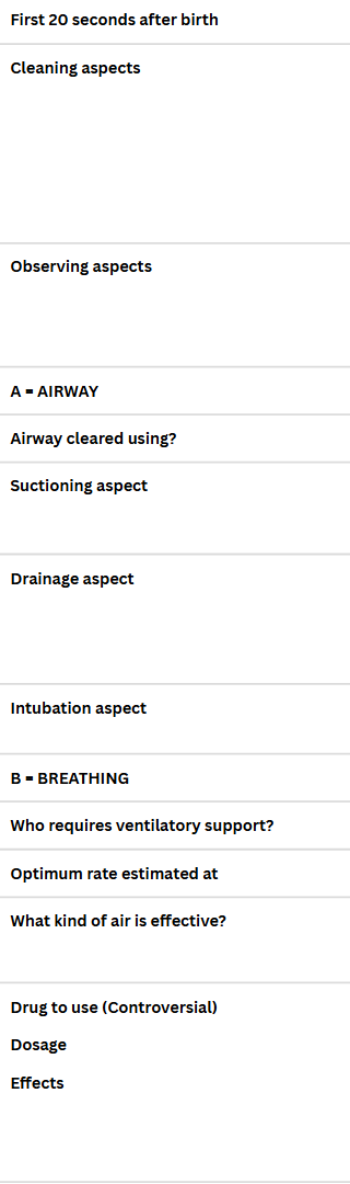 <p>Foal Resuscitation</p>