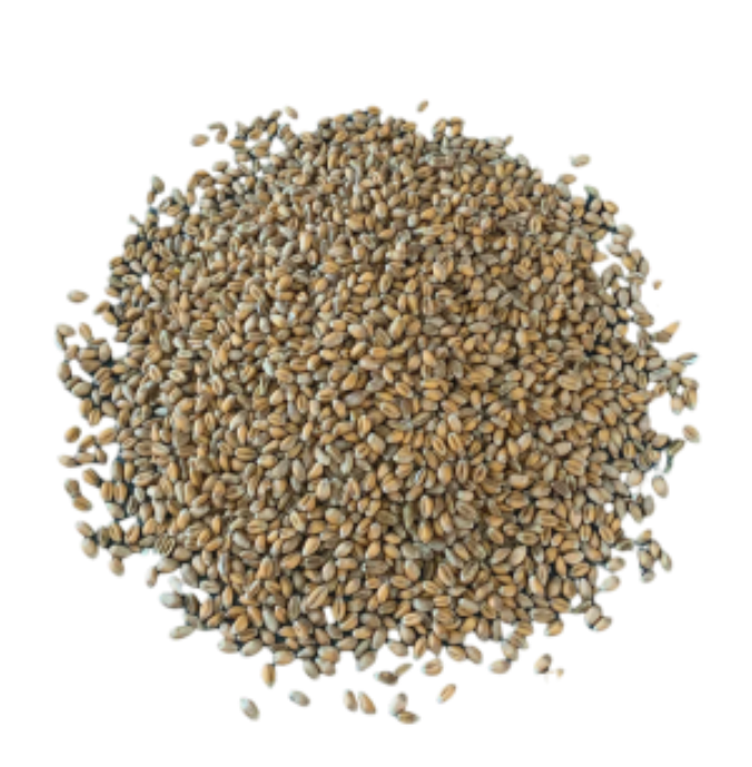 <p>Identify this feed</p>