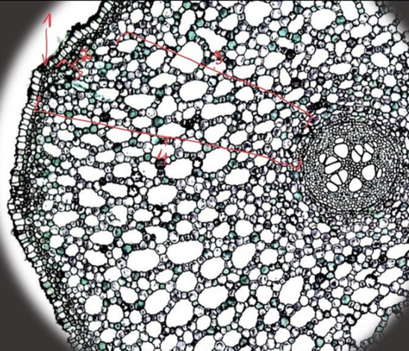 <p>4</p>
