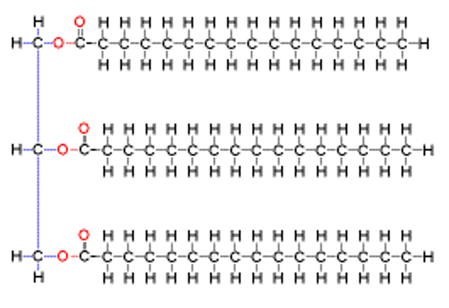<p>long chains of smaller monomers/building blocks</p>