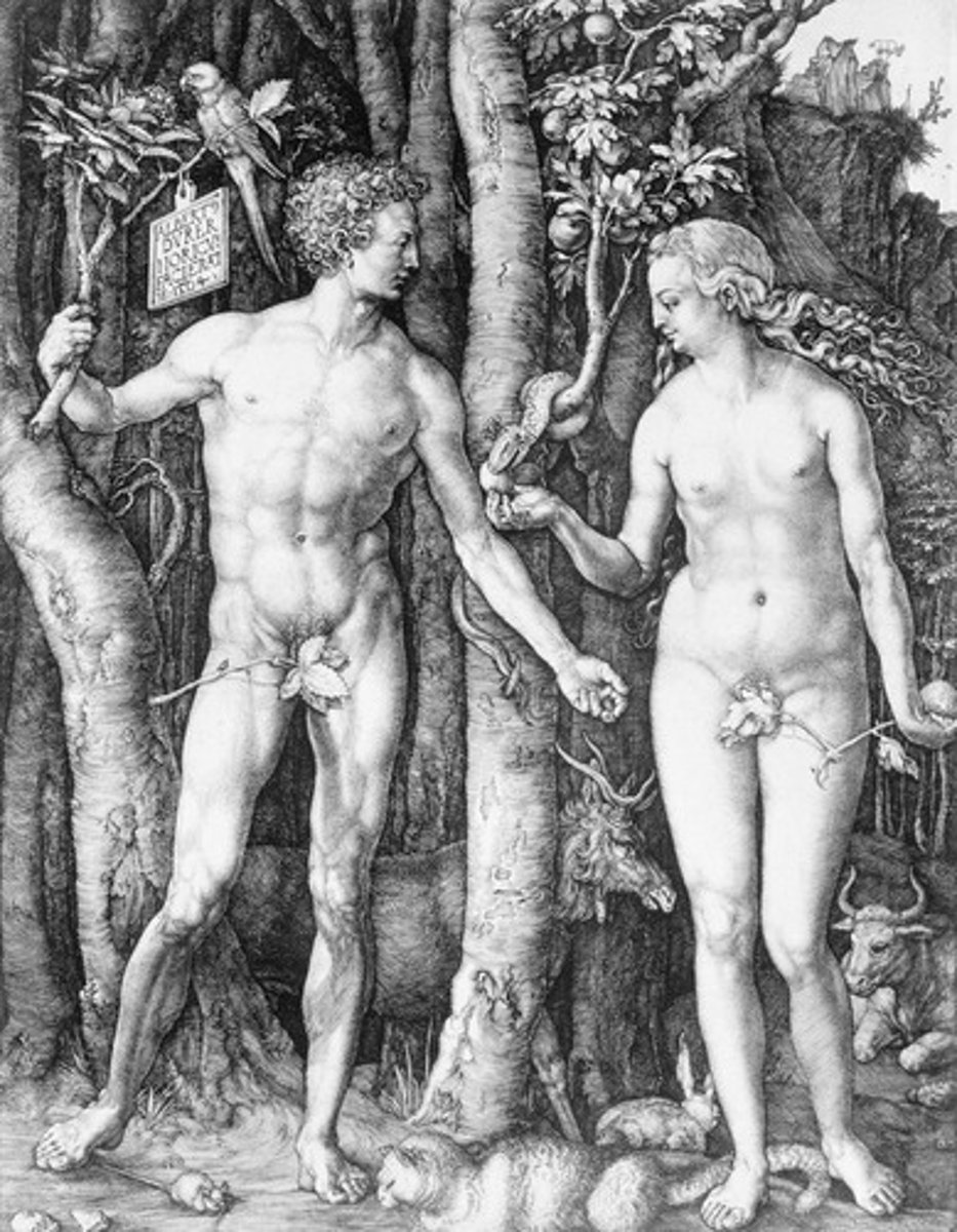 <p>1504. Engraving print. Museum of Fine Arts, Boston.</p><p>Animal Symbolism: The Medieval Humors.</p>