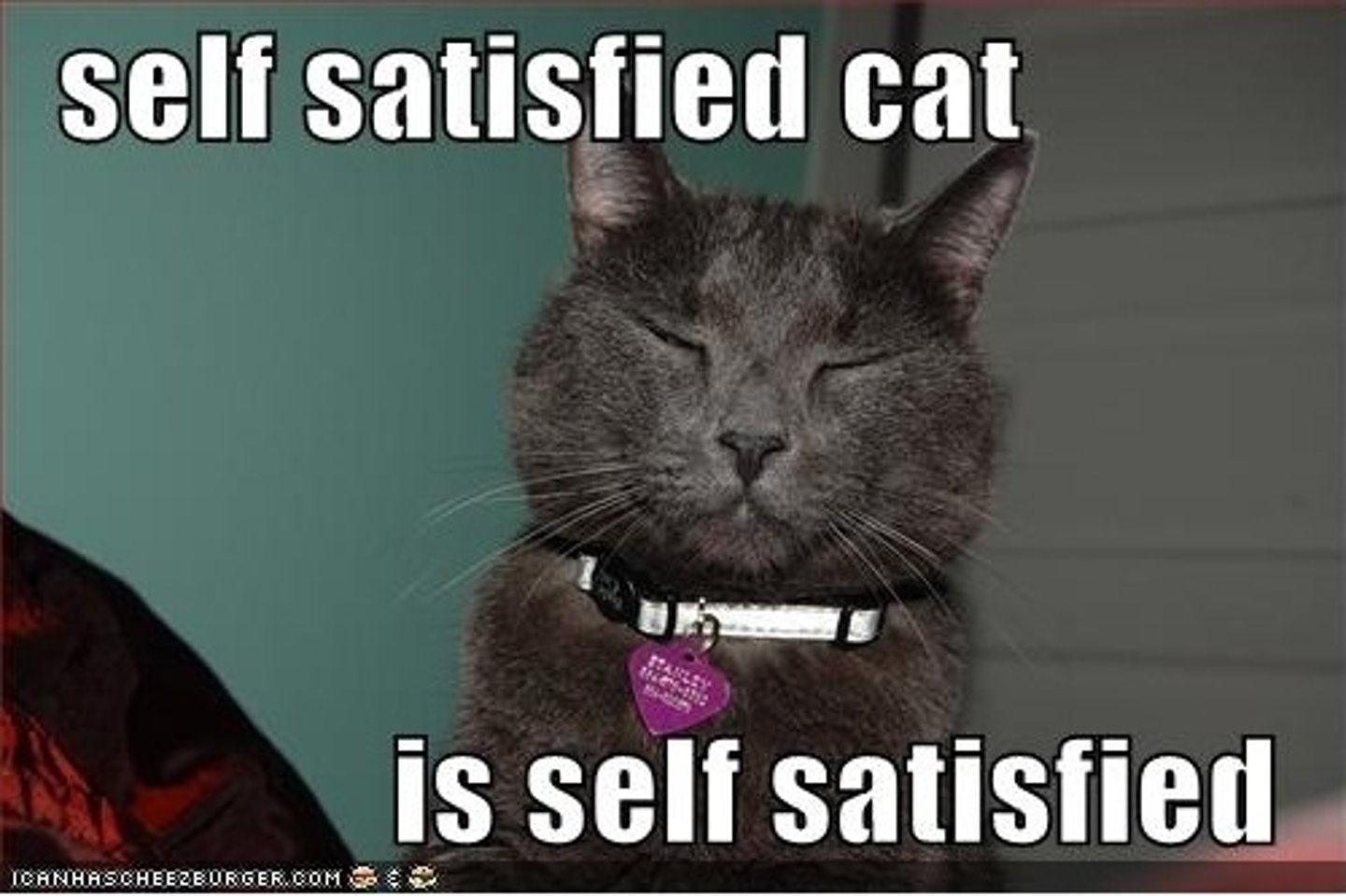 <p>self-satisfied; overly content</p>