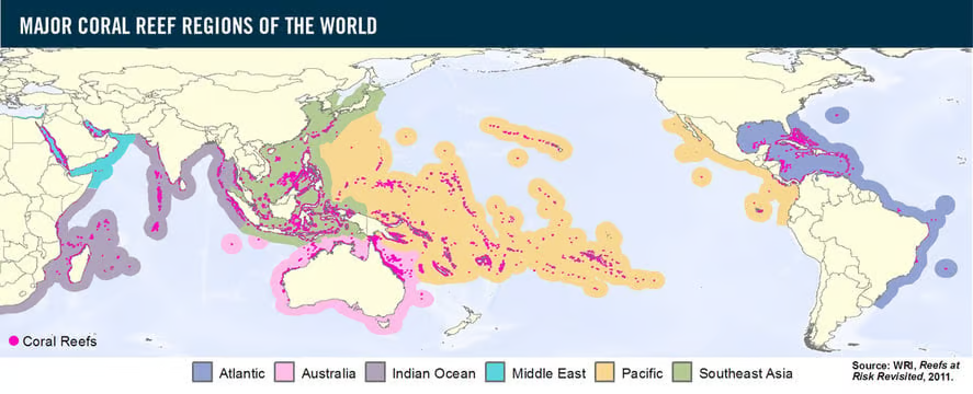 <ul><li><p>Generally between 30<span>ᵒ N and S of equator</span></p></li></ul><p><span>Examples:</span></p><ul><li><p><strong>Great Barrier Reef</strong> (high biodiversity) - off coast of Queensland, AU</p></li><li><p><strong>Maldives</strong> - Indian Ocean</p></li><li><p><strong>Red Sea</strong> - Egypt</p></li></ul>