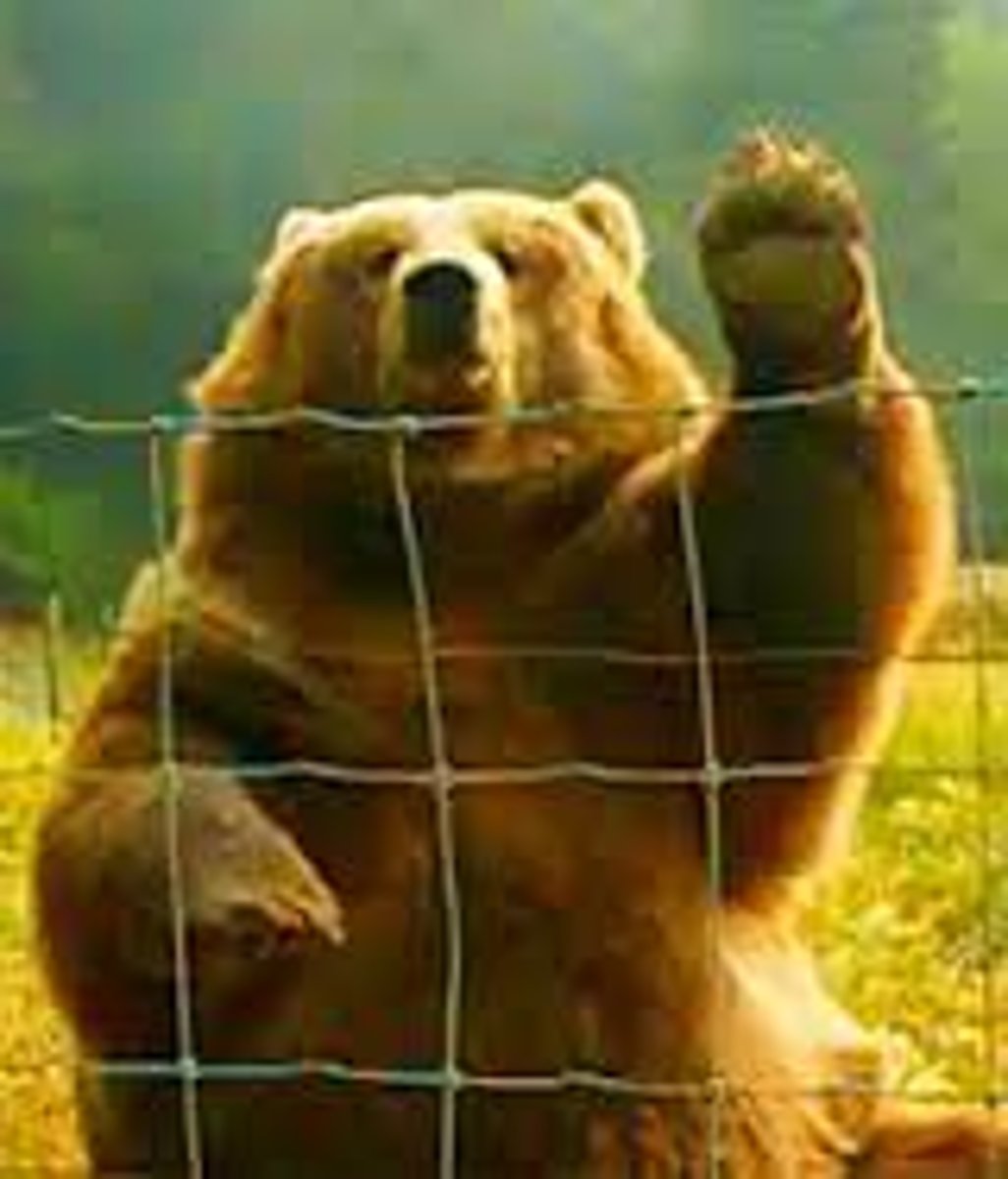 <p>Hey!</p>
