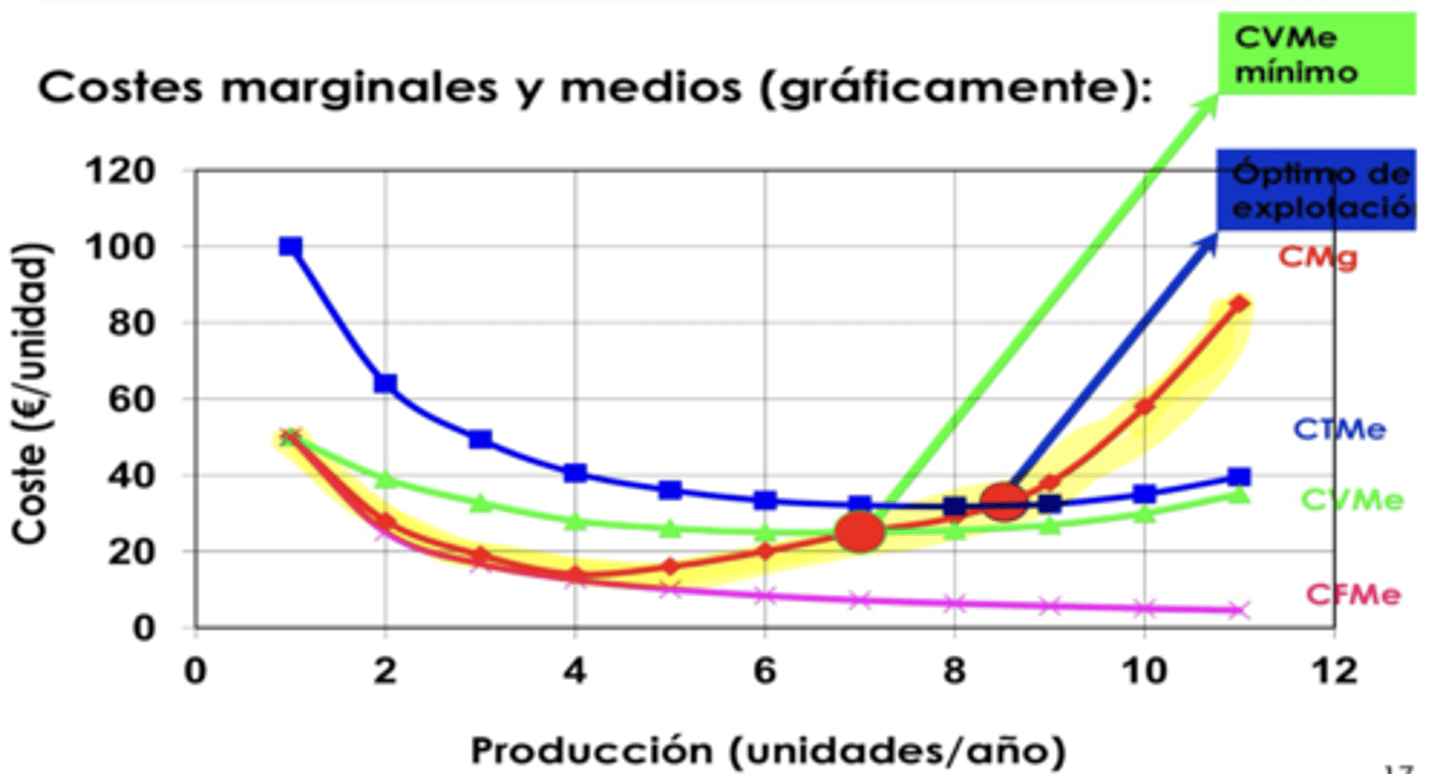 <p>prod. bajas: CMg ↓ al aumentar la producción</p><p>prod. mayores: CMg ↑ al aumentar la producción</p>