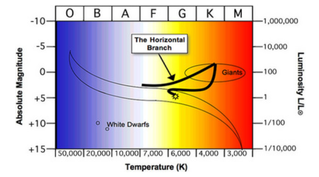 <p>a phase of stellar evolution undergone by intermediate-mass stars, i.e. those with masses 0.8 <strong>M</strong><sub>⊙</sub> &lt; M &lt; 8 <strong>M</strong><sub>⊙</sub>, a range which encompasses the majority of stars in the Galaxy, including our Sun. After departing the Main Sequence, these stars spend time on the Red Giant Branch, then undergo the triple alpha process ( I am not sure the scope we need to understand this because to my knowledge we have not gone over this in class)</p>