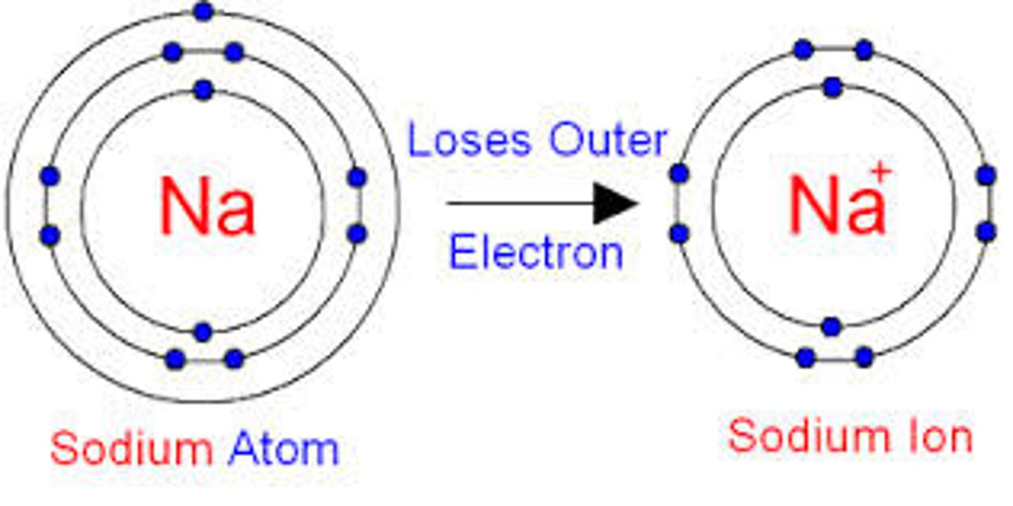 <p>How many electrons did this atom lose?</p>