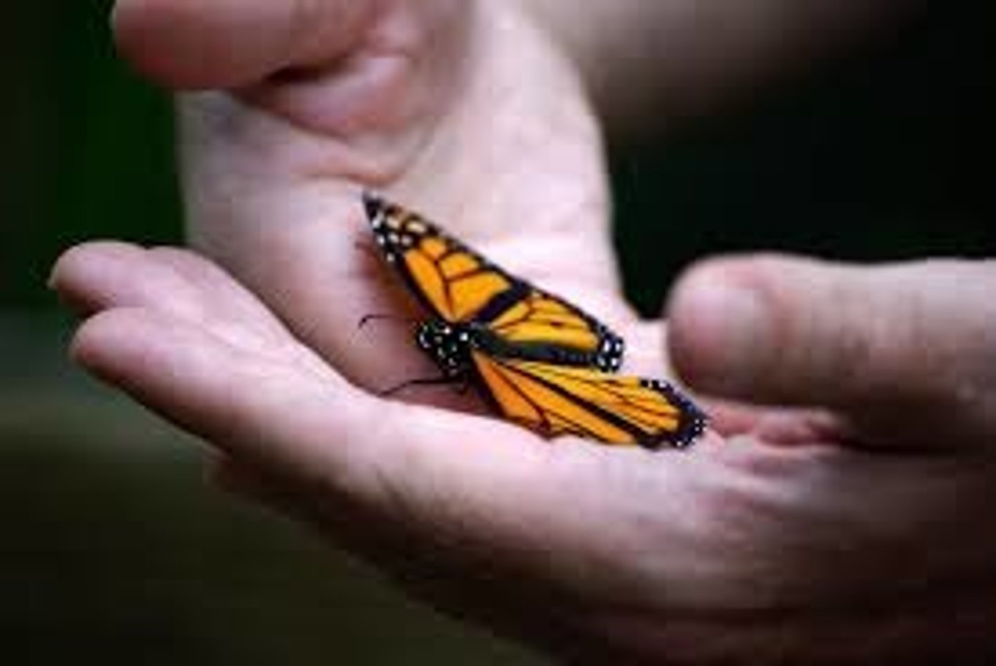<p>kind; soft</p>